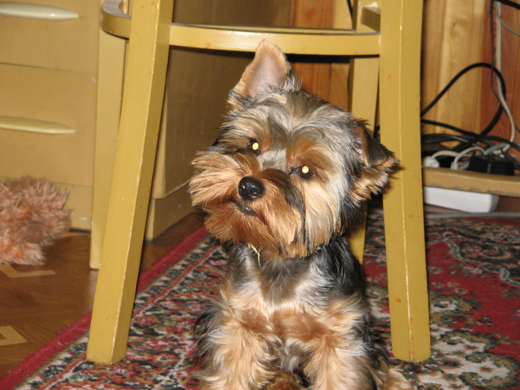 to je ale pohled.jpg