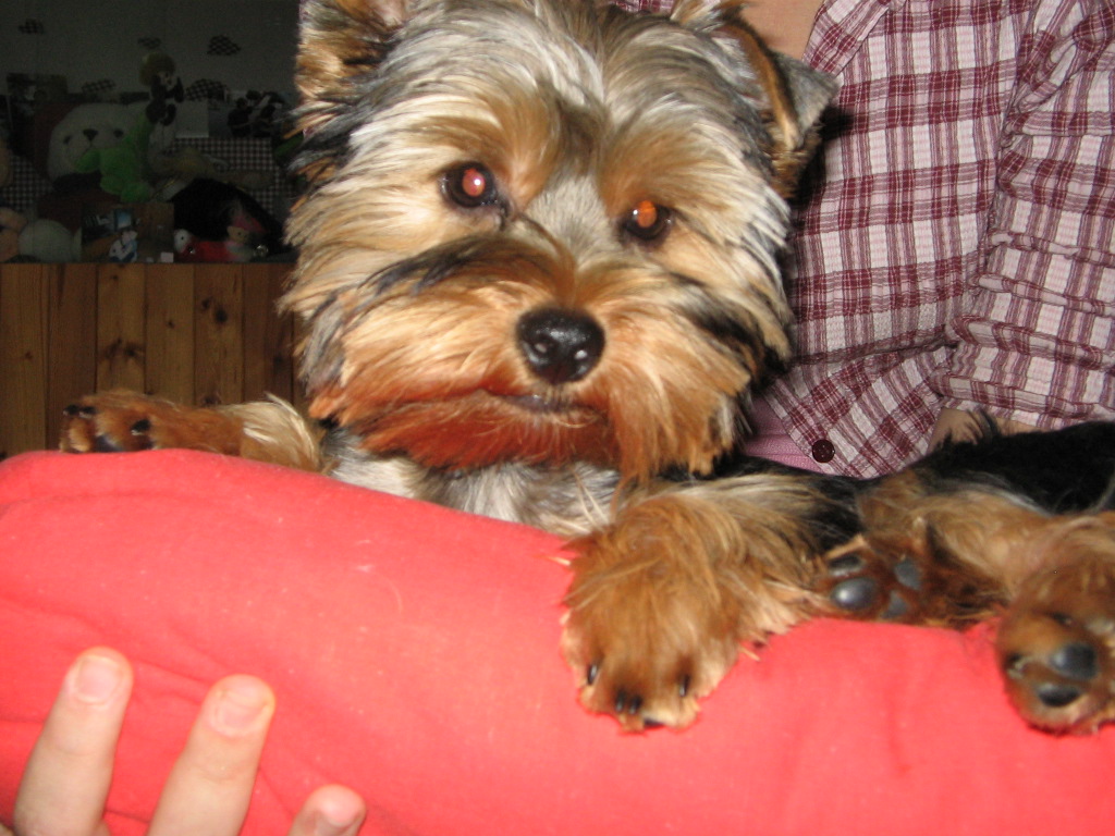 u paničky v náruči.jpg