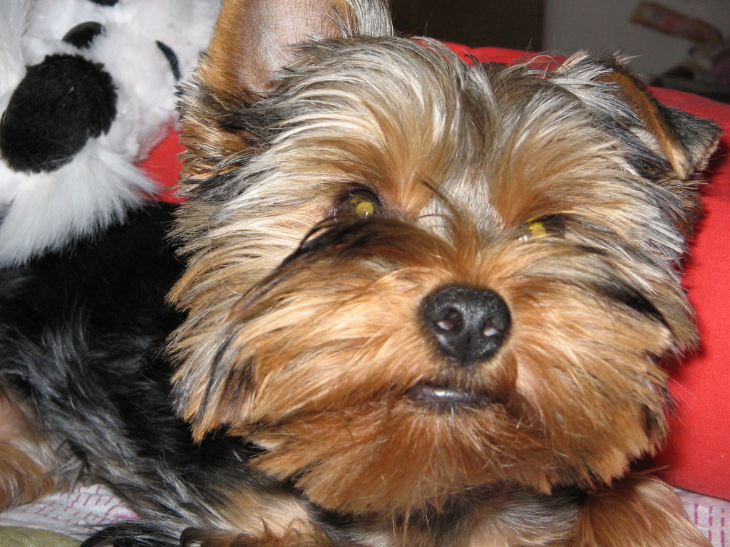 už mě zase fotíš..vr.jpg