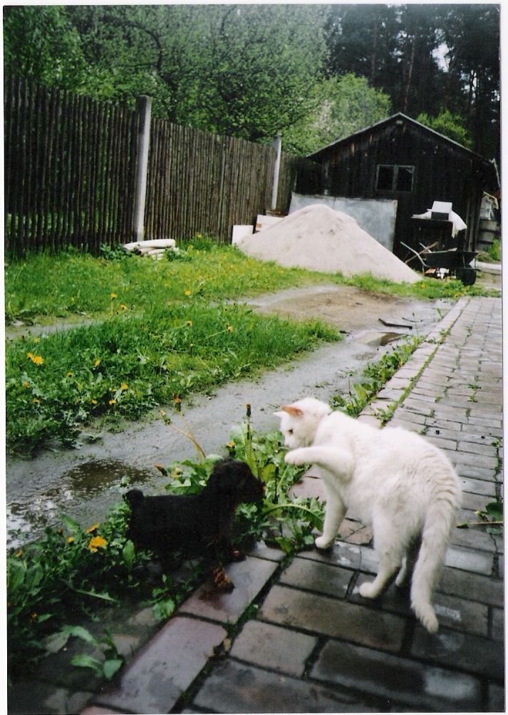 Sára 2. měs. se Zuzankou.jpg