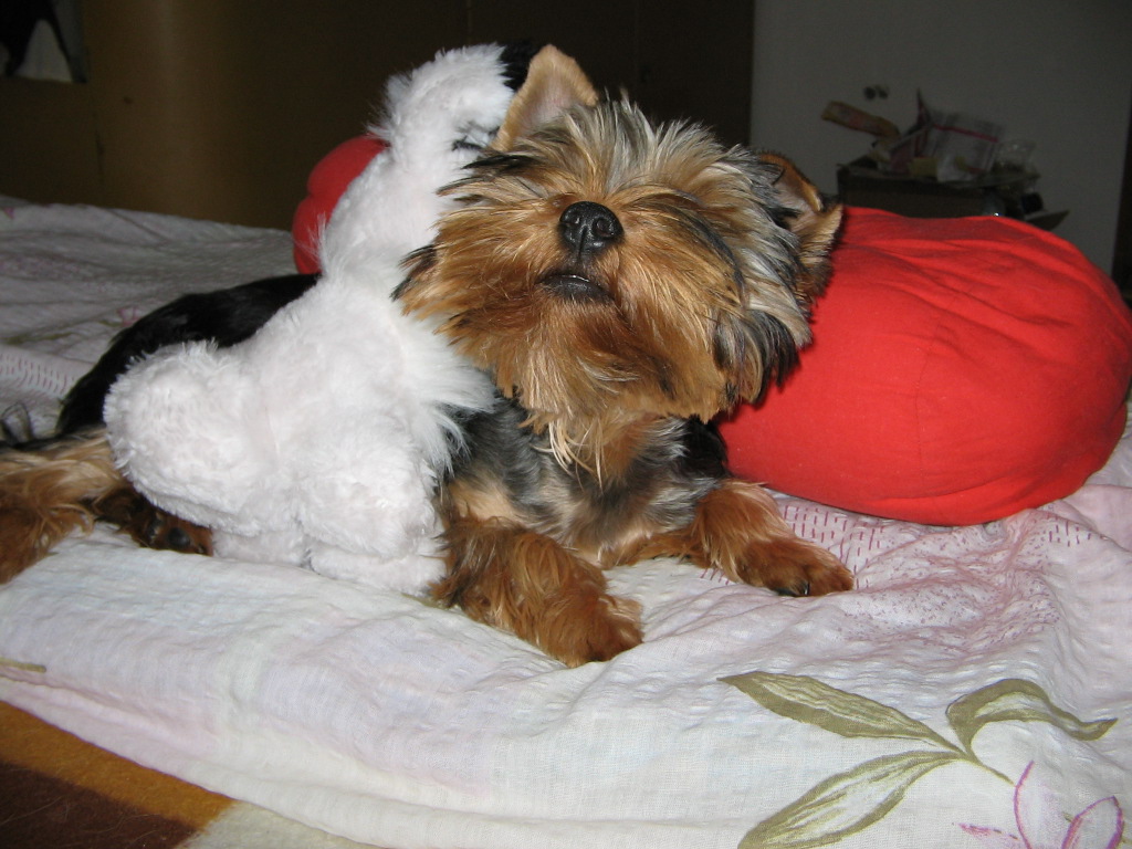 já se nechci fotit.jpg